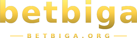 betbiga logo
